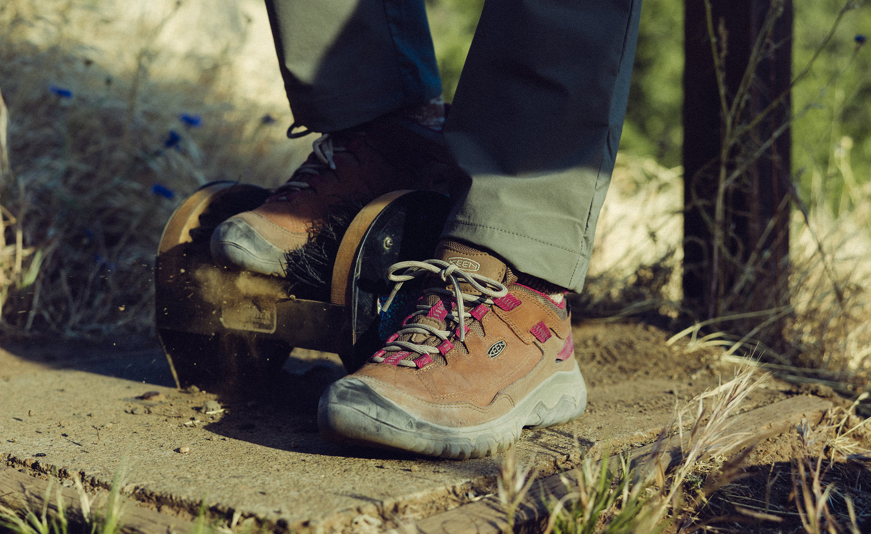 Women's Targhee IV Waterproof Hiking Shoe | Bison/Beaujolais - Image 7